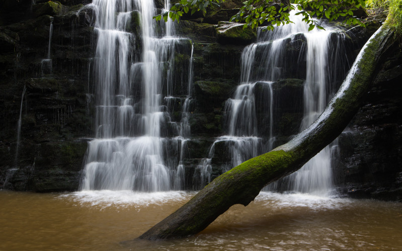waterfall in the forst of bowland, ribble valley