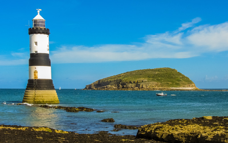 trwyn du lighthouse with puffin ialand anglesey