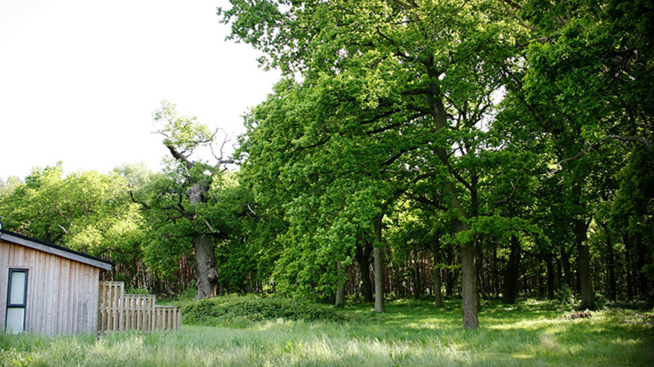 Photo of Rustic Lodge